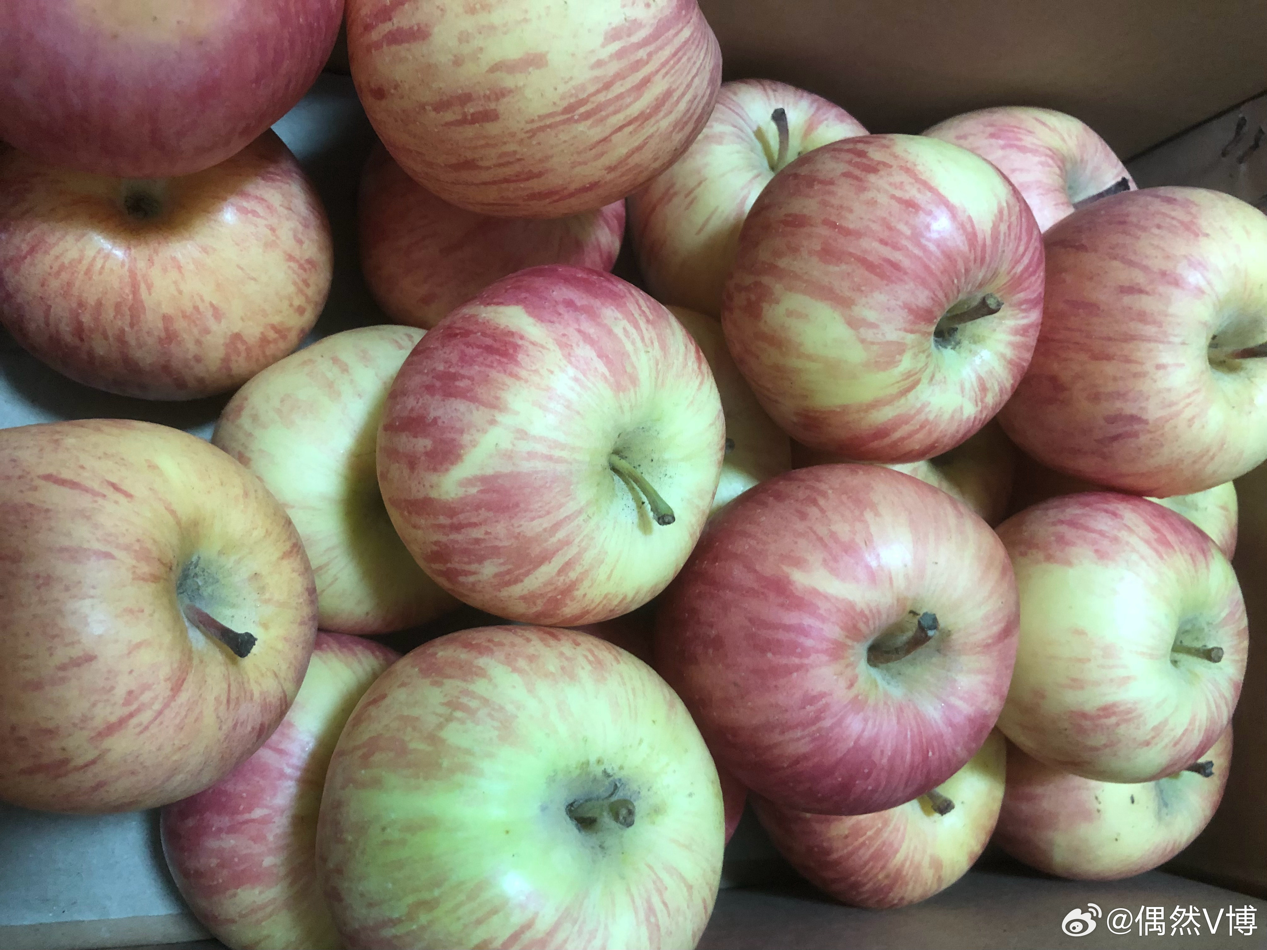 苹果hk版在哪买apple苹果官网hk-第2张图片-太平洋在线下载