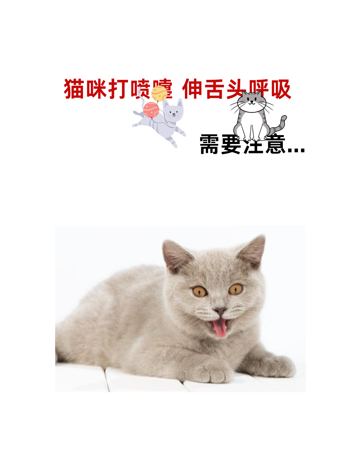 吵醒猫猫苹果版喵喵爱冒险ios下载-第2张图片-太平洋在线下载